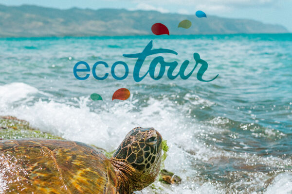ECOTOUR – Valorización de recursos naturales en áreas protegidas costeras como atractivo ecoturístico – MAC/4.6c/054.