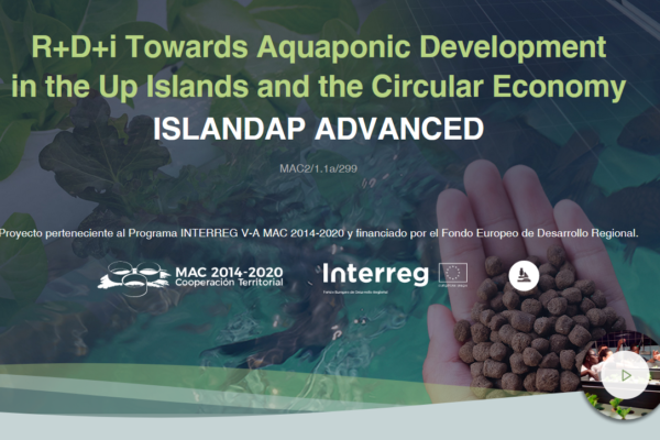 The ISLANDAP ADVANCED project holds an international webinar on circular economy and research in isolated territories
