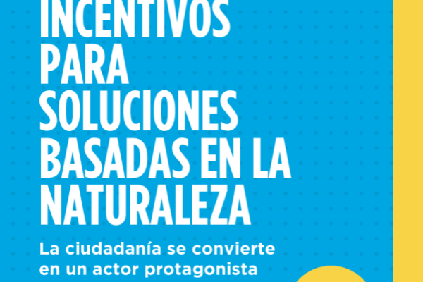 A Pioneering Model of Fiscal Incentives to Boost Urban Sustainability Presented at the XXV Expert Workshop of The Participatory Group